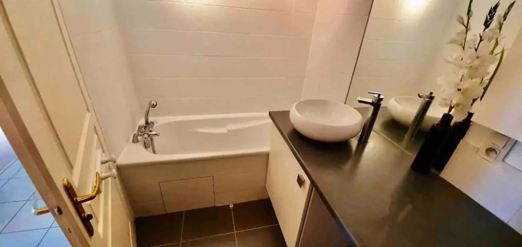 Tichnich Appartement - 2 Bedrooms - 1 Min Away From Train Station Annemasse Εξωτερικό φωτογραφία